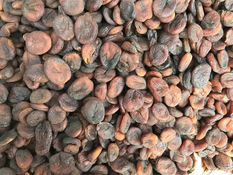 Kayısı paketleme